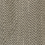 Grey fish bone