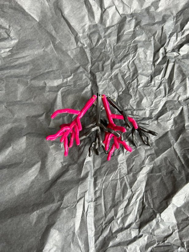 Earrings TWIGS - Colour: Fuchsia